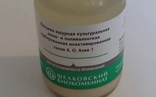 Профилактика ящура