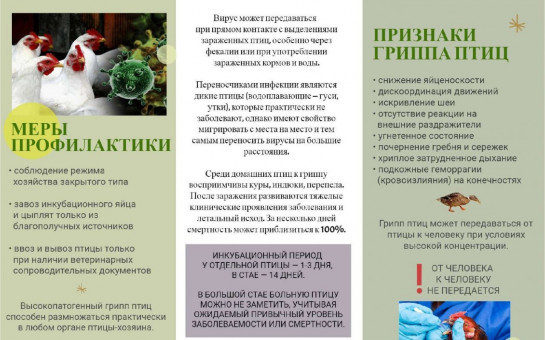 ПРОФИЛАКТИКА ВЫСОКОПАТОГЕННОГО ГРИППА ПТИЦ